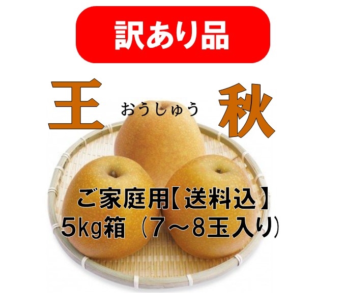 秋月梨　14玉　箱込み5キロ　秀品　贈答用